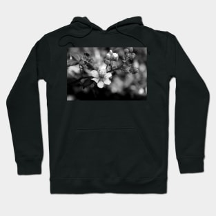 Blackberry flower black and white Hoodie